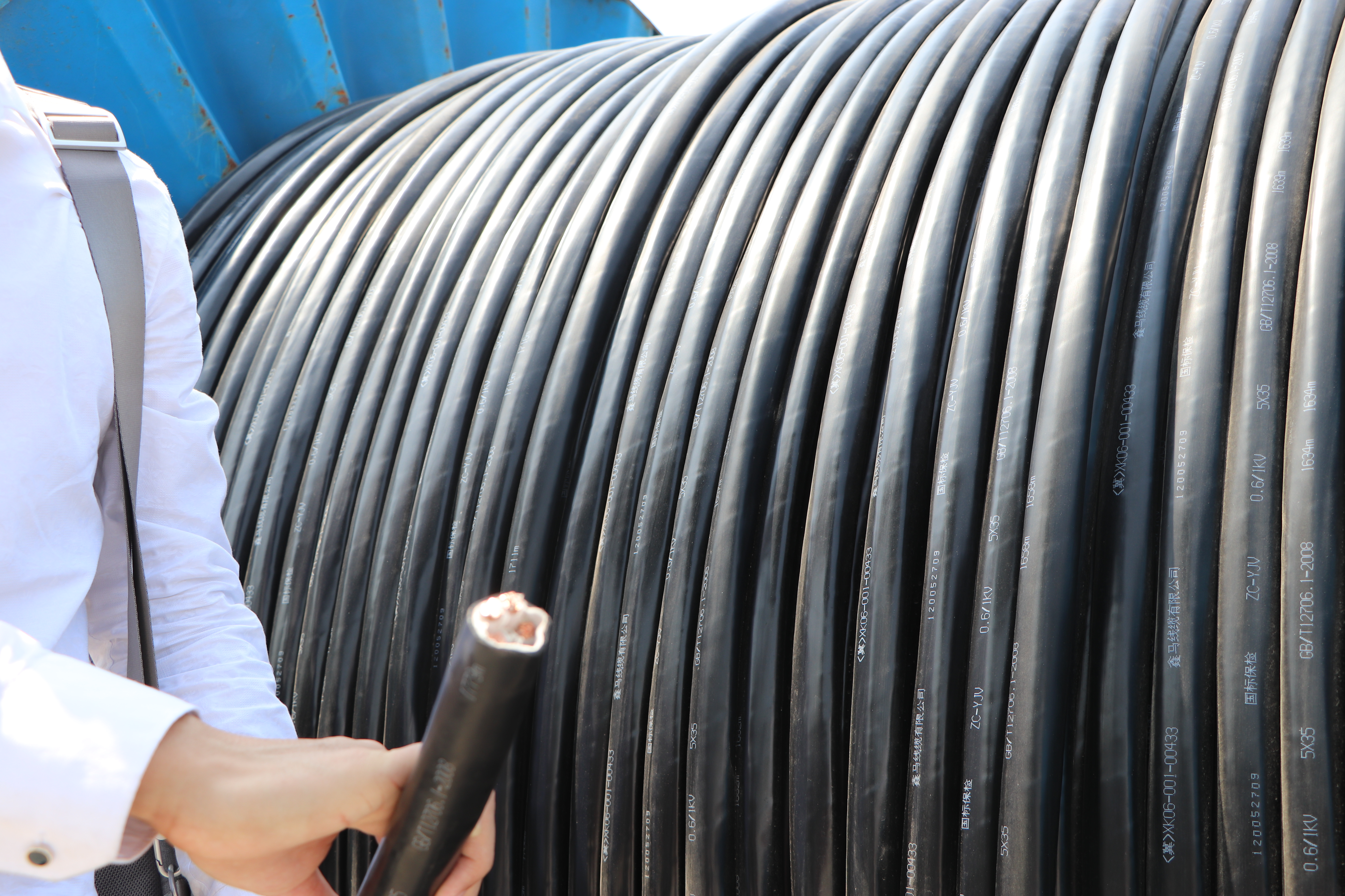 新能源浪潮下的特種電纜:機遇與挑戰 新能源浪潮下的特種電纜:機遇與挑戰